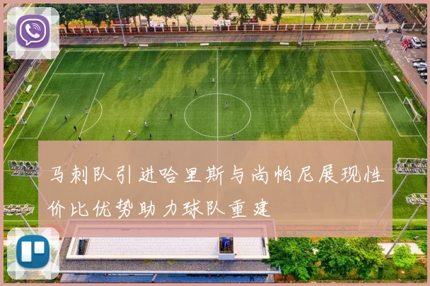 马刺队引进哈里斯与尚帕尼展现性价比优势助力球队重建