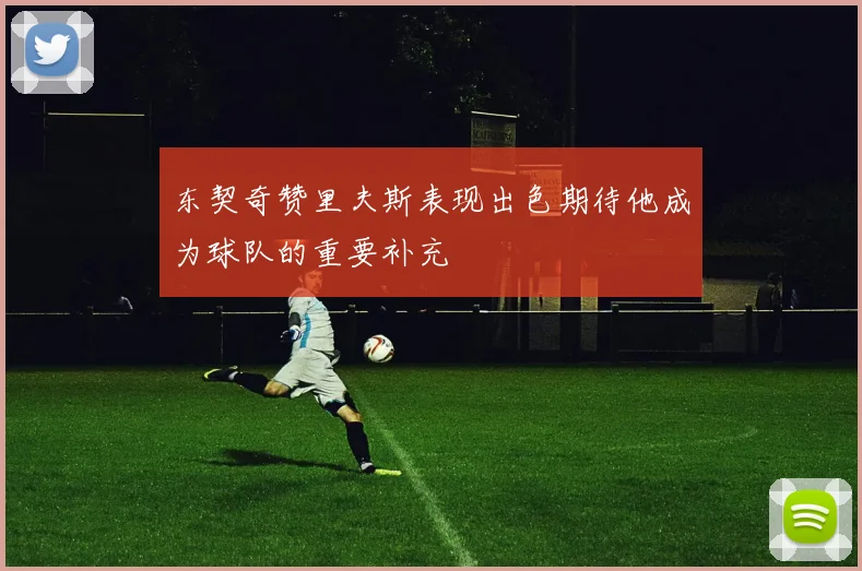 东契奇赞里夫斯表现出色期待他成为球队的重要补充