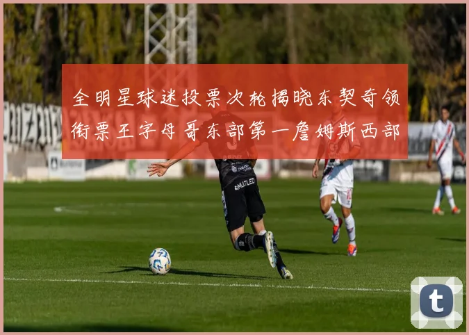 全明星球迷投票次轮揭晓东契奇领衔票王字母哥东部第一詹姆斯西部第八